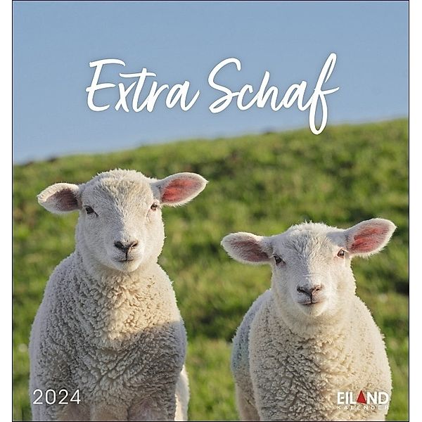 Extra Schaf Postkartenkalender 2024. Ein kleiner Kalender zum Aufstellen und Aufhängen. Süße Schafe in allen Lebenslagen in einem Postkarten-Fotokalender.