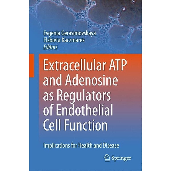 Extracellular ATP and adenosine as regulators of endothelial