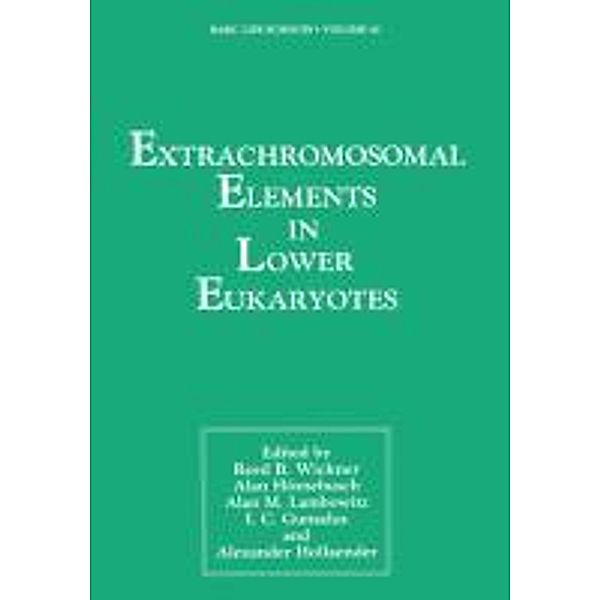 Extrachromosomal Elements in Lower Eukaryotes