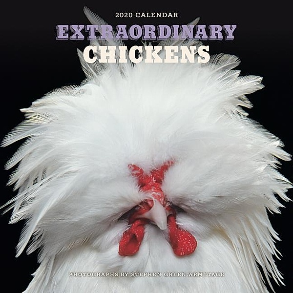 Extraordinary Chickens 2020 Wall Calendar, Stephen Green-Armytage