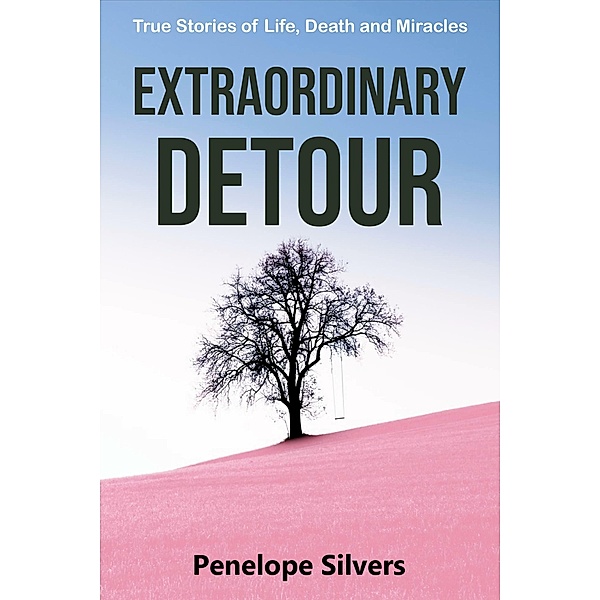 Extraordinary Detour, Penelope Silvers