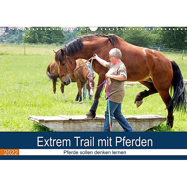 Extrem Trail mit Pferden (Wandkalender 2022 DIN A3 quer), Marion Sixt