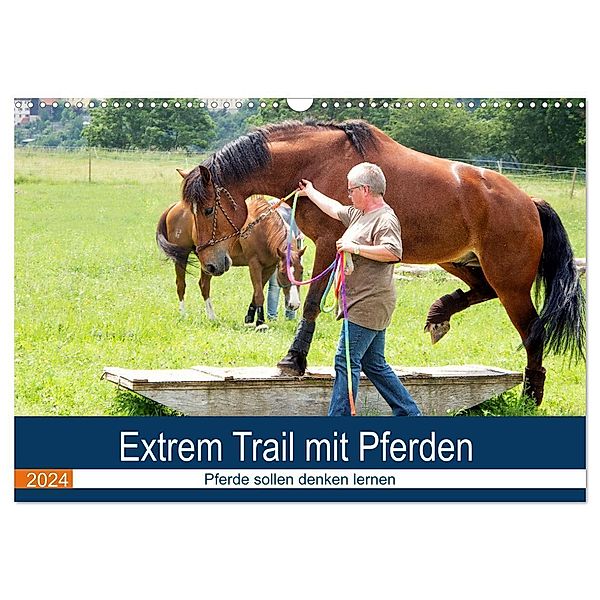 Extrem Trail mit Pferden (Wandkalender 2024 DIN A3 quer), CALVENDO Monatskalender, Marion Sixt