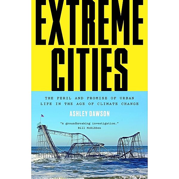 Extreme Cities, Ashley Dawson