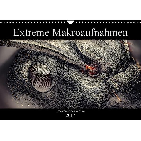 Extreme Makroaufnahmen - Insekten so nah wie nie (Wandkalender 2017 DIN A3 quer), Ferdigrafie