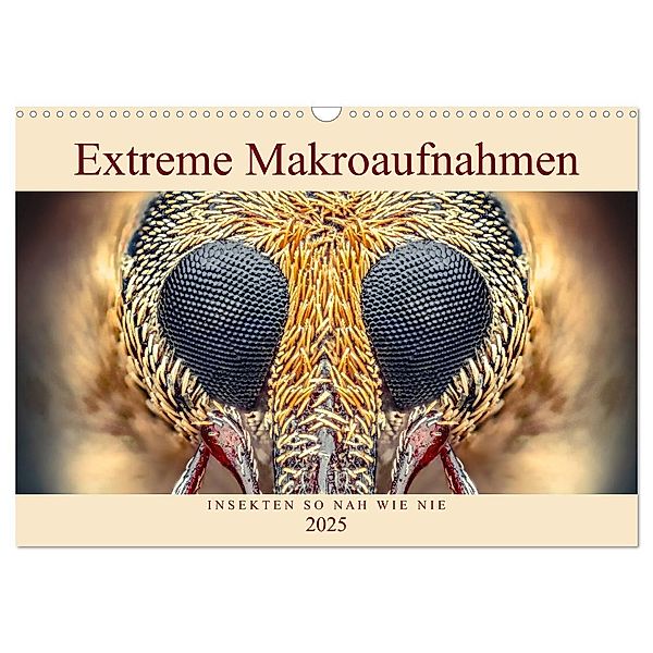 Extreme Makroaufnahmen - Insekten so nah wie nie (Wandkalender 2025 DIN A3 quer), CALVENDO Monatskalender, Calvendo, Ferdigrafie