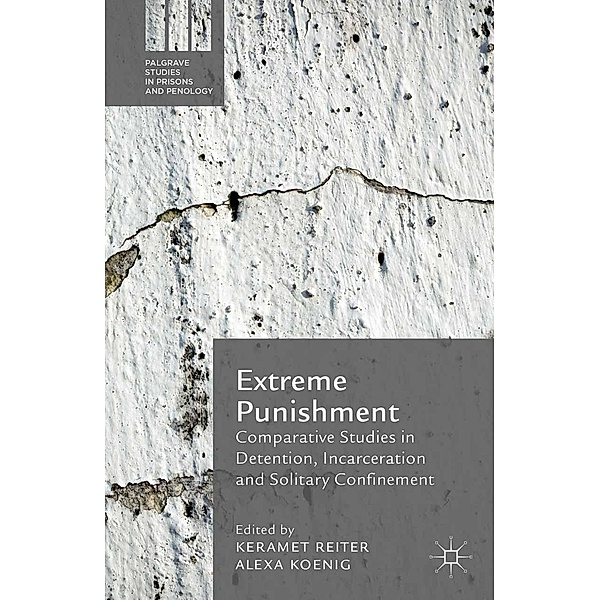 Extreme Punishment / Palgrave Studies in Prisons and Penology