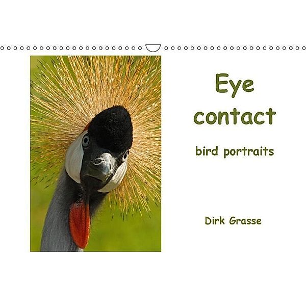 Eye contact - bird portraits / UK-Version (Wall Calendar 2017 DIN A3 Landscape), Dirk Grasse