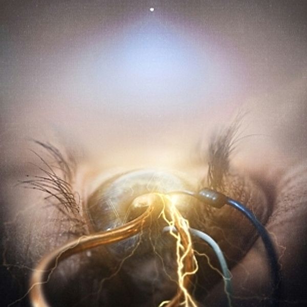 Eye Of Providence, The Agonist