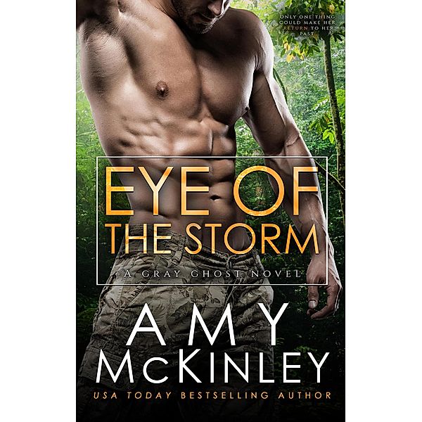 Eye of the Storm (A Gray Ghost Novel, #2) / A Gray Ghost Novel, Amy McKinley