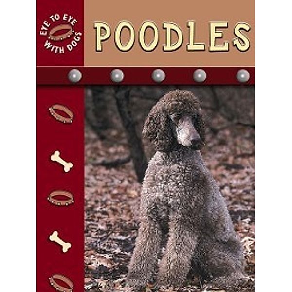 Eye to Eye with Dogs: Poodles, Lynn M. Stone