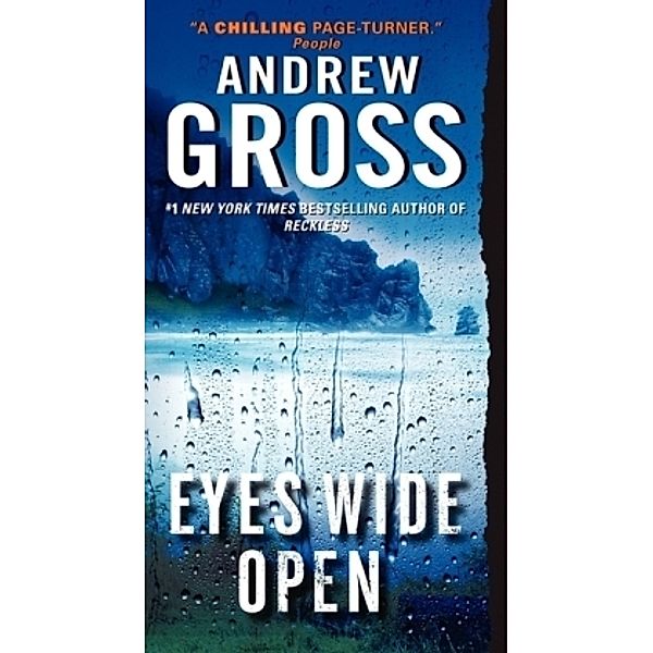 Eyes Wide Open, Andrew Gross