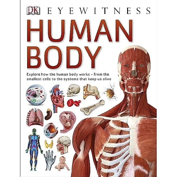 Eyewitness / Human Body