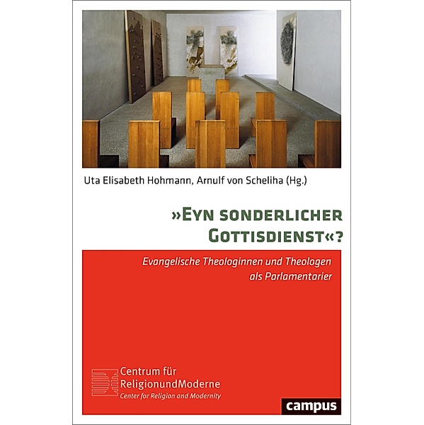 »Eyn sonderlicher Gottisdienst«? / Religion und Moderne Bd.24