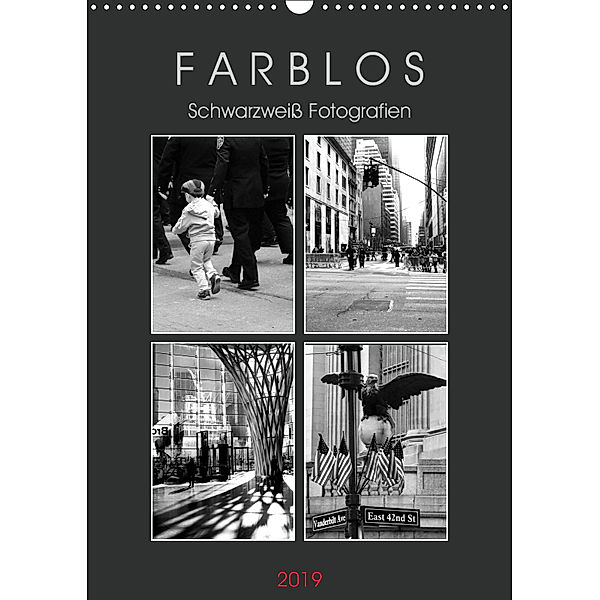 F A R B L O S - Schwarzweiß Fotografien (Wandkalender 2019 DIN A3 hoch), Helene Seidl