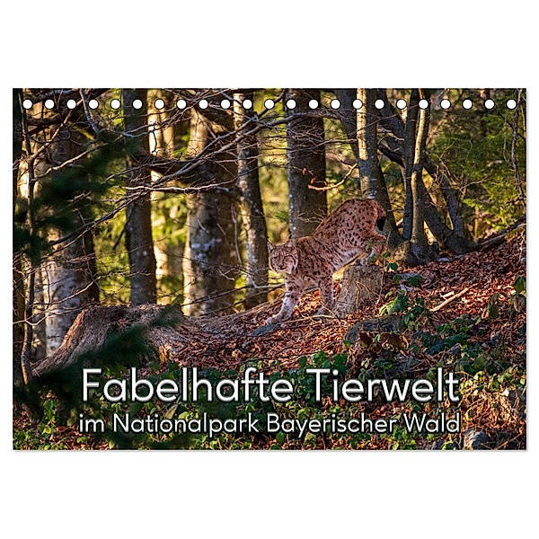 Fabelhafte Tierwelt im Nationalpark Bayerischer Wald (Tischkalender 2024 DIN A5 quer), CALVENDO Monatskalender, Christian Haidl