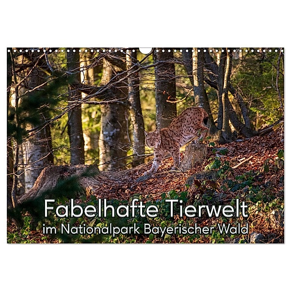 Fabelhafte Tierwelt im Nationalpark Bayerischer Wald (Wandkalender 2024 DIN A3 quer), CALVENDO Monatskalender, Christian Haidl