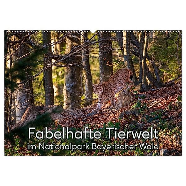 Fabelhafte Tierwelt im Nationalpark Bayerischer Wald (Wandkalender 2025 DIN A2 quer), CALVENDO Monatskalender, Calvendo, Christian Haidl