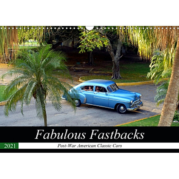 Fabulous Fastbacks (Wall Calendar 2021 DIN A3 Landscape), Henning von Löwis of Menar