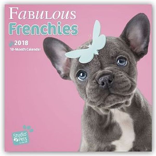 Fabulous Frenchies 2018, Myrna Huijing