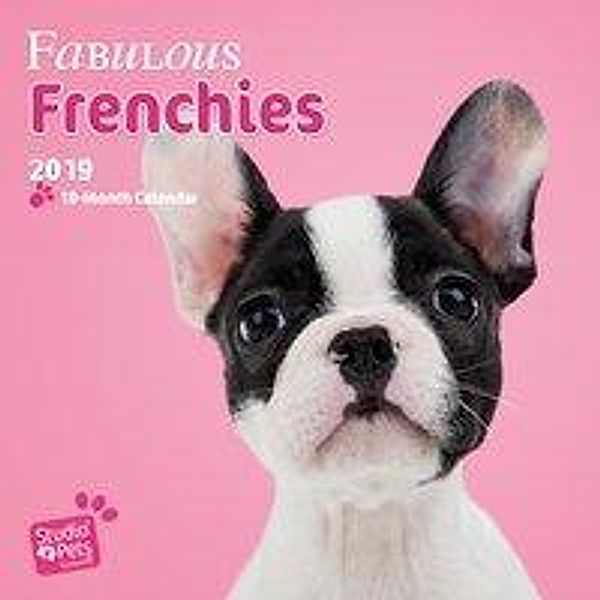 Fabulous Frenchies - French Bulldogs 2019 - 18-Monatskalender, Myrna Huijing