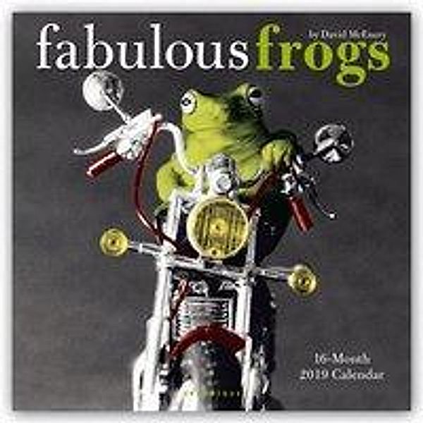 FABULOUS FROGS 2019 SQUARE WALL CALENDAR, GRAPHIQUE