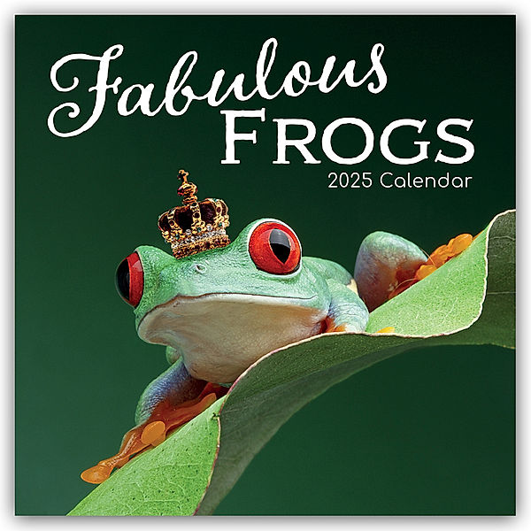 Fabulous Frogs - Fabelhafte Frösche 2025 - 16-Monatskalender, Gifted Stationery Co. Ltd