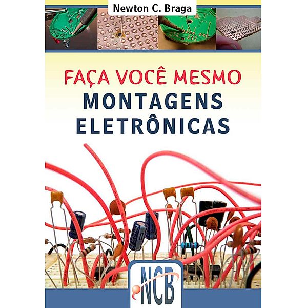 Faça você mesmo, Newton C. Braga