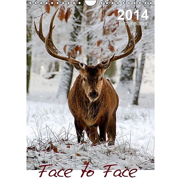 Face to Face (Wandkalender 2014 DIN A4 hoch), Sigrun Düll