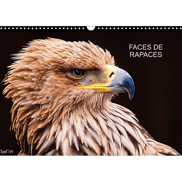 FACES DE RAPACES (Calendrier mural 2023 DIN A3 horizontal), Arnaud Liatard