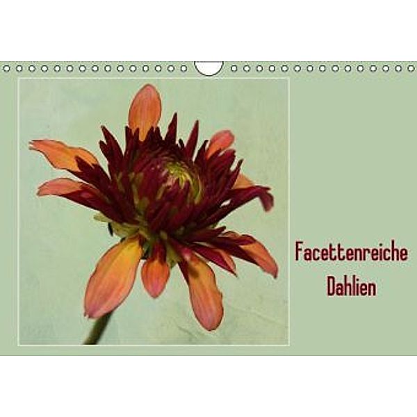 Facettenreiche Dahlien (Wandkalender 2014 DIN A4 quer), Rosemarie Prediger