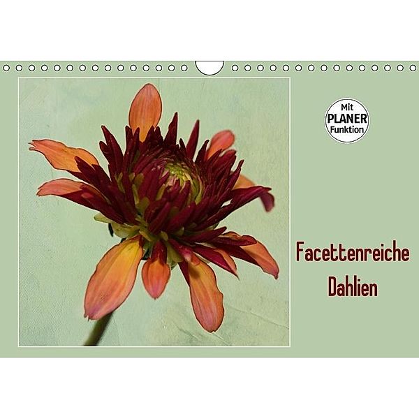 Facettenreiche Dahlien (Wandkalender 2017 DIN A4 quer), Rosemarie Prediger