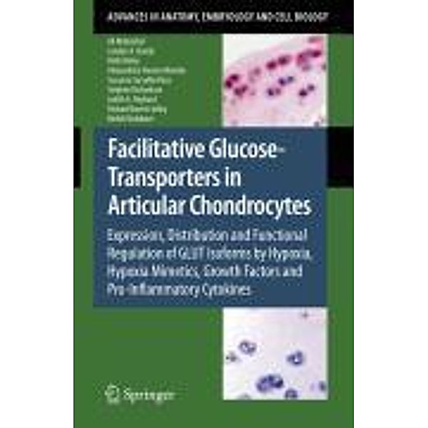 Facilitative Glucose Transporters in Articular Chondrocytes / Advances in Anatomy, Embryology and Cell Biology Bd.200, Ali Mobasheri, Carolyn A. Bondy, Kelle Moley, Alexandrina Ferreira Mendes, Susana Carvalho Rosa, Stephen Richardson, Judith A Hoyland, Richard Barrett-Jolley, Mehdi Shakibaei