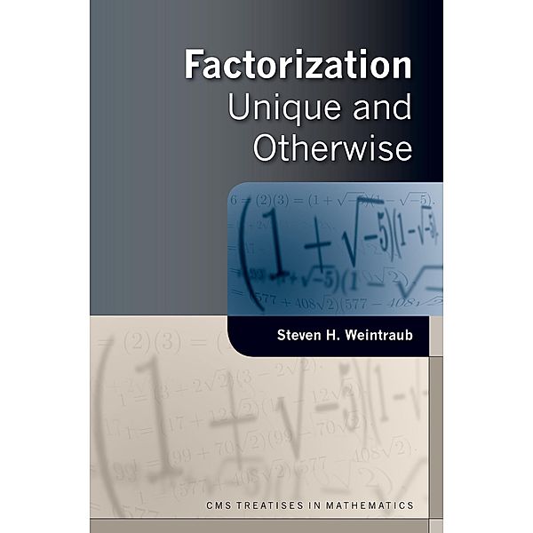 Factorization, Steven H. Weintraub