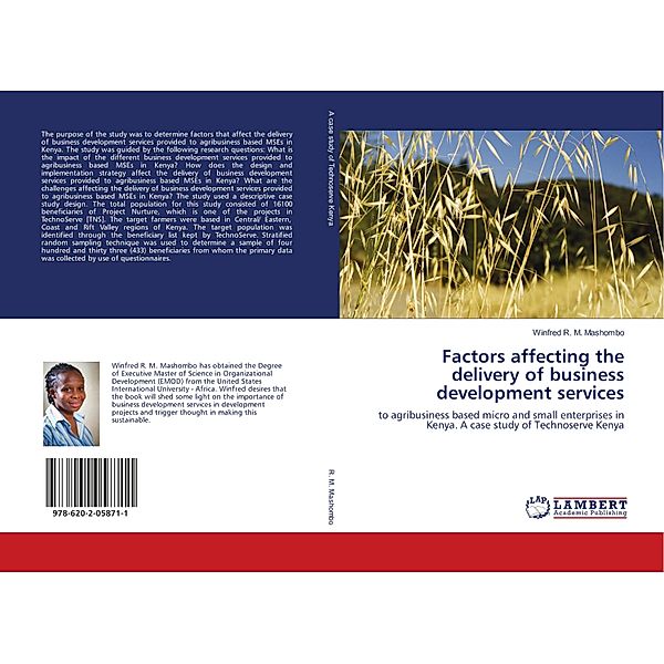 Factors affecting the delivery of business development services, Winfred R. M. Mashombo