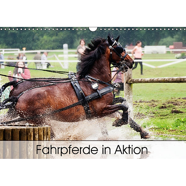 Fahrpferde in Aktion (Wandkalender 2019 DIN A3 quer), Marion Sixt