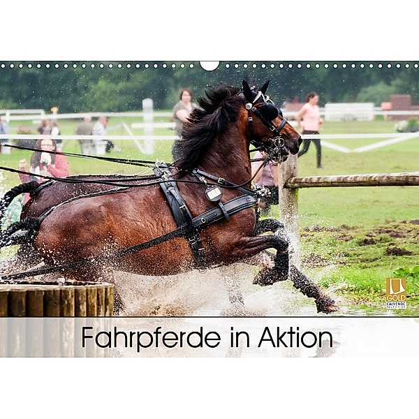 Fahrpferde in Aktion (Wandkalender 2021 DIN A3 quer), Marion Sixt