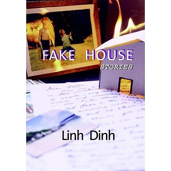 Fake House, Linh Dinh