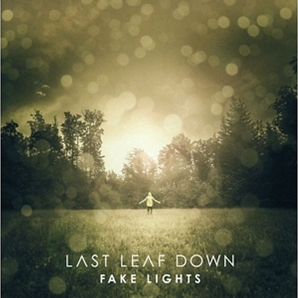 Fake Lights, Last Leaf Down