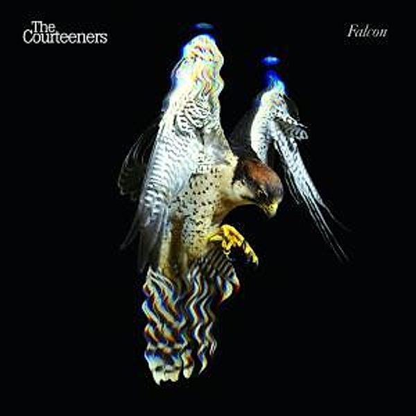 Falcon, The Courteeners