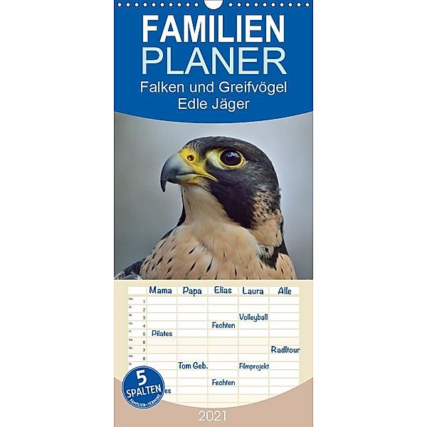 Falken und Greifvögel. Edle Jäger - Familienplaner hoch (Wandkalender 2021 , 21 cm x 45 cm, hoch), Elisabeth Stanzer