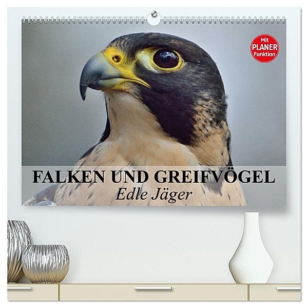 Falken und Greifvögel - Edle Jäger (hochwertiger Premium Wandkalender 2024 DIN A2 quer), Kunstdruck in Hochglanz, Elisabeth Stanzer