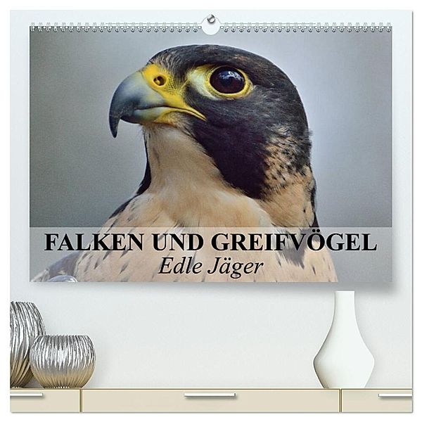 Falken und Greifvögel. Edle Jäger (hochwertiger Premium Wandkalender 2024 DIN A2 quer), Kunstdruck in Hochglanz, Elisabeth Stanzer