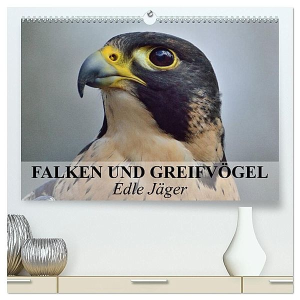 Falken und Greifvögel. Edle Jäger (hochwertiger Premium Wandkalender 2025 DIN A2 quer), Kunstdruck in Hochglanz, Calvendo, Elisabeth Stanzer