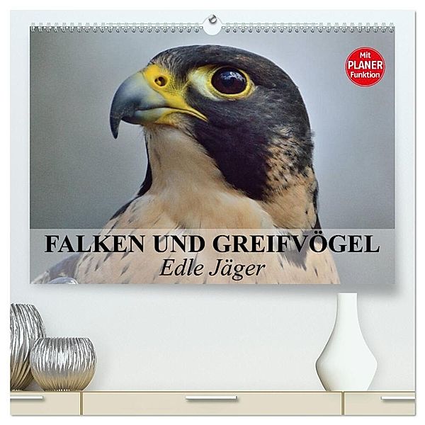 Falken und Greifvögel - Edle Jäger (hochwertiger Premium Wandkalender 2025 DIN A2 quer), Kunstdruck in Hochglanz, Calvendo, Elisabeth Stanzer