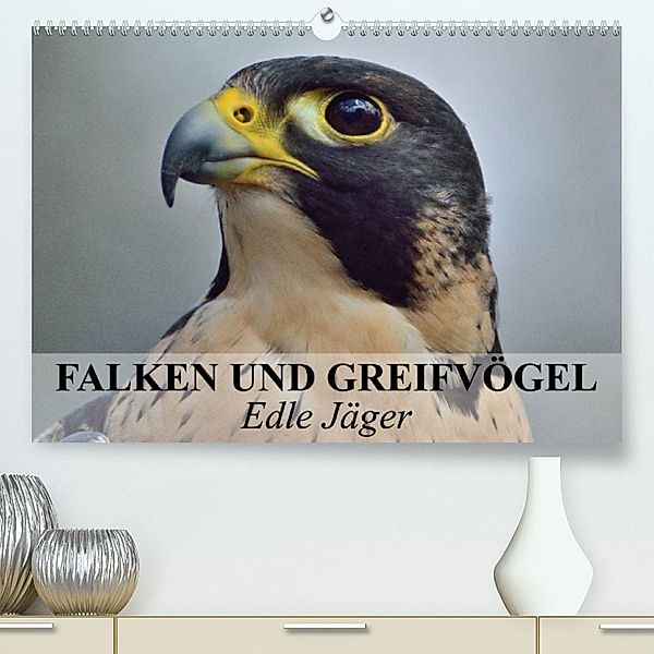 Falken und Greifvögel. Edle Jäger (Premium, hochwertiger DIN A2 Wandkalender 2023, Kunstdruck in Hochglanz), Elisabeth Stanzer