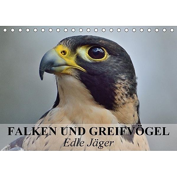 Falken und Greifvögel. Edle Jäger (Tischkalender 2017 DIN A5 quer), Elisabeth Stanzer