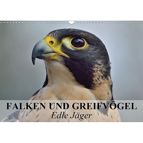 Falken und Greifvögel. Edle Jäger (Wandkalender 2021 DIN A3 quer), Elisabeth Stanzer
