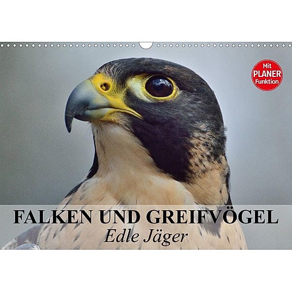 Falken und Greifvögel - Edle Jäger (Wandkalender 2023 DIN A3 quer), Elisabeth Stanzer