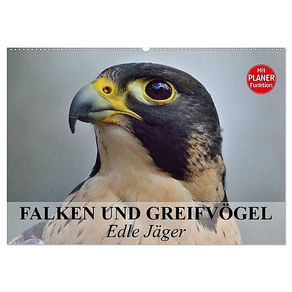 Falken und Greifvögel - Edle Jäger (Wandkalender 2025 DIN A2 quer), CALVENDO Monatskalender, Calvendo, Elisabeth Stanzer